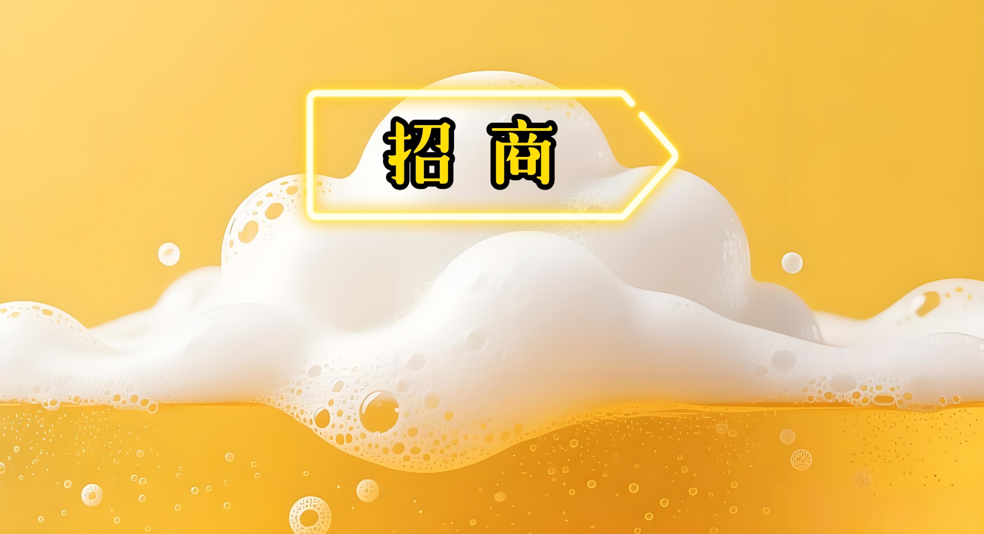 招商-龙元运营管理